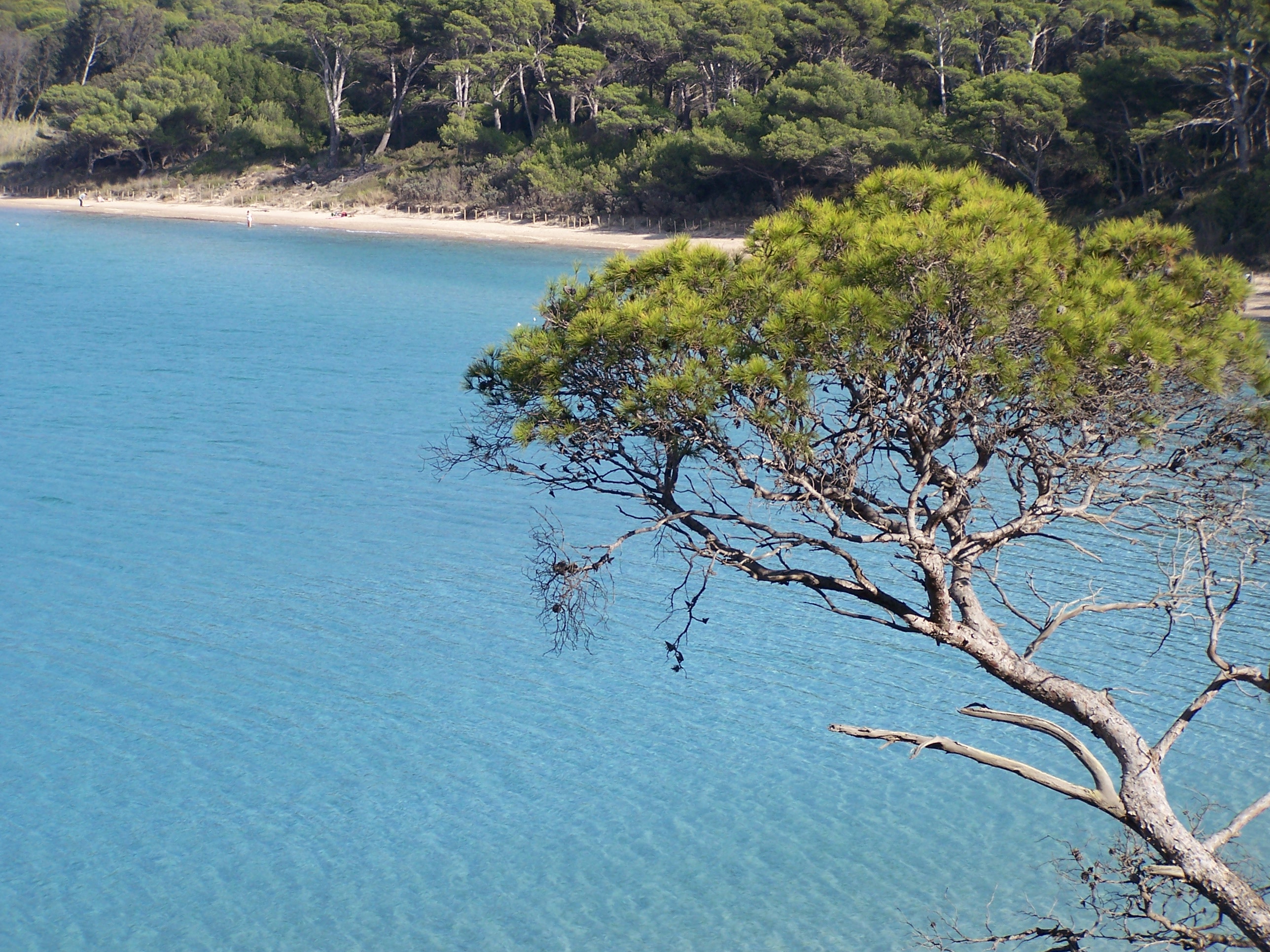 Porquerolles