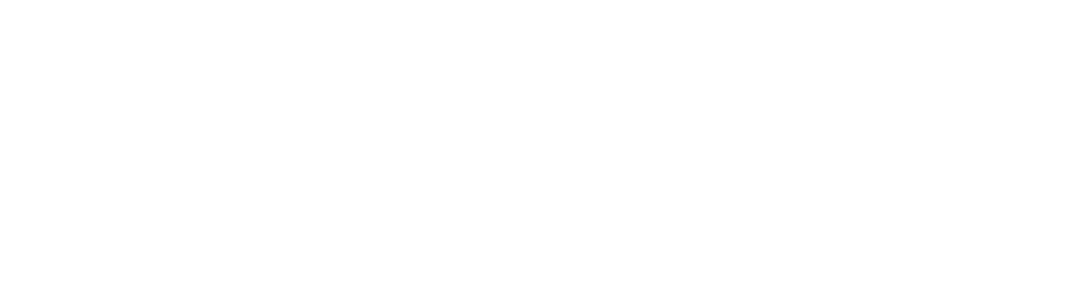 logo-Inphyni EN
